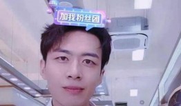 最新男友爆料视频大全集,揭秘娱乐圈背后的真实故事