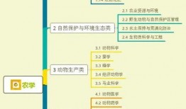 爆料炸鸡大叔视频大全集,美味瞬间尽收眼底