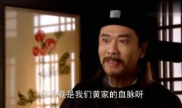 无耻婆婆爆料完整视频,家庭矛盾激化背后的惊人真相