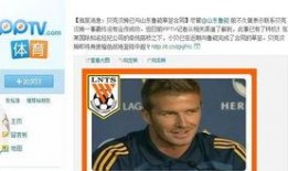 小贝网红爆料视频大全,揭秘网络红人幕后真相