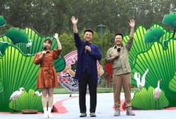黑喵最新爆料视频,揭秘神秘事件背后的惊人真相！