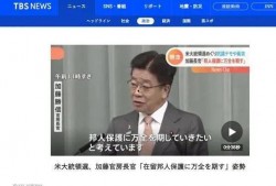 日本选举爆料视频在线,爆料视频曝光惊人真相
