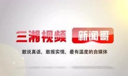 清风工作室最新爆料新闻,最新爆料新闻深度解析