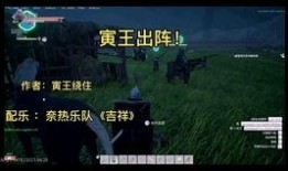 韩国的元旦爆料视频,独家视频曝光节日盛况与幕后故事