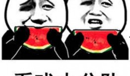 吃瓜包子表情包下载免费,轻松逗乐你的朋友圈