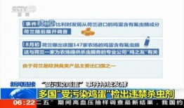 新闻爆料鸡蛋事件,揭秘背后真相与行业反思