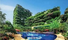 新城碧桂园爆料最新消息,揭秘项目进展与亮点