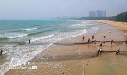 海南赶海爆料网站大全视频,精彩视频一网打尽