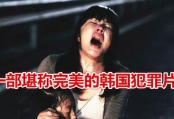 抓住那个家伙在线观看,揭秘悬疑追捕之旅